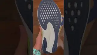 ASICS Evoride Speed