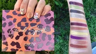 IS IT WORTH IT??? || COLOURPOP FALL COLLECTION 'Good Sport' Palette || ashleyrcoello
