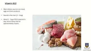 Maturation of red blood cells - Significance of Vitamin B12 and folic acid/folate.