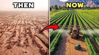 From California&rsquo;s Abandoned Vineyards to Fertile Farmland in 5 Years