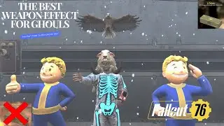 The BEST Legendary Weapon Effect for Ghouls in Fallout 76 &ndash; Insane Damage Boost!