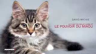Le chat du dala&iuml;-lama et le pouvoir du miaou - David Michie