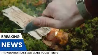 WESN | Pocket Knives.The WESN Bornas Fixed Blade Pocket knife