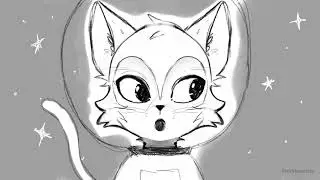 First Cat on Space