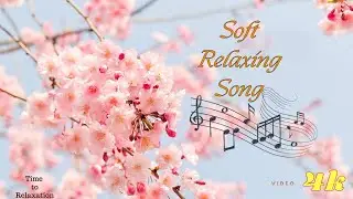 Time To Relaxation: This Soothing Music For Relaxing When Stress (piano and Flute) 🌿🌿🌿
