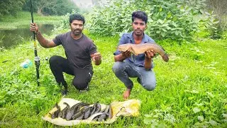 Snakehead fish catch 🐟💯🥳#fishing #newshorts #newtrend #newvideo #newviralshorts #fish #nature #catch
