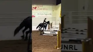 Jasper was so good today!! Hunter Halloween derby tomorrow! #horse #fypシ #horseworld #horsingaround