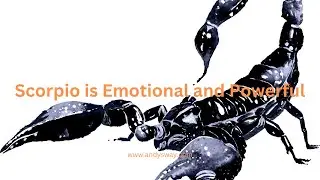 Scorpio is Emotional and Powerful