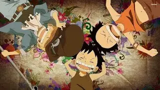 One Piece 「AMV」- Brotherhood