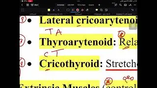 ENT ( Anatomy and Physiology and congenital anomalies of Larynx) lec 5