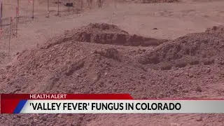 Soil fungus found in Colorado can lead to lung infections &mdash; but officials say there is &lsquo;no reason to