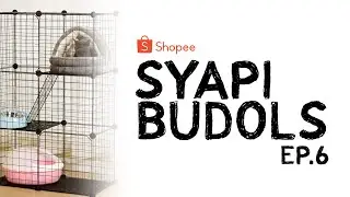 Syapi Budols EP6: Cheap DIY Cat Cage Foldable Stackable Unboxing Assemble Guide Shopee Philippines
