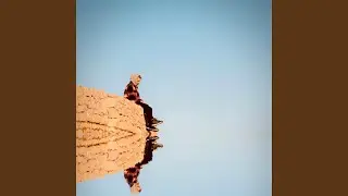 step by step