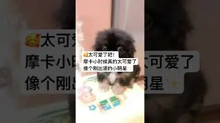 🥰✨太可爱了Mocha was unbelievably adorable as a baby&mdash;like a little star just stepping into the spotlight