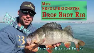 Dicke Barsche angeln - Mein Bestes Dropshot Rig - Reel Busy Fishing TV