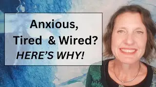 Why You Feel So Anxious and Wired in Perimenopause | The Vagus Nerve Connection