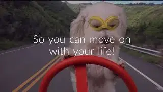 Lee Johnson Video: Fiverr Real Estate Video | We Buy Houses | Dog Version