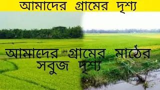 আমার গ্ৰাম বাংলা🏞️সবুজে ভরা আমাদের গ্ৰাম🗻#cinematicshot#villagevlog#amarraiganj