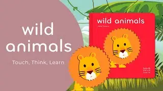 Touch, Think, Learn 🦁 Wild Animals | Дитячі книги англійською, книги для малышей
