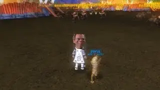 Wizard101 - Progres Zefiryna (26-27lv) [Poszukiwania ptaszk&oacute;w]