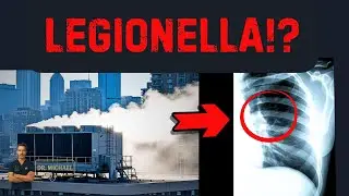 23 People, 6 Hours, One Street: The Invisible Killer in the Air