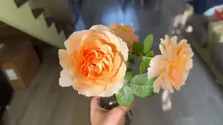 я их ХОЛЮ и ЛЕЛЕЮ а их всё трепят и жгут