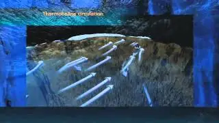 Thermohaline Circulation