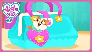 Popcorn's New Bag! (Compilation) | Vida the Vet | Cartoons for Kids