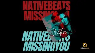 Missing You | Native Beats