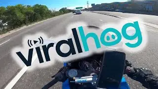 Running Out of Gas Next to a Gas Station || ViralHog