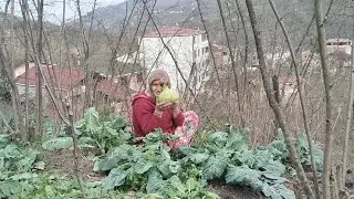 KÖYDE BAHÇEMİN SON HALİ👍BAHÇEMDEN SÜPRİZ 