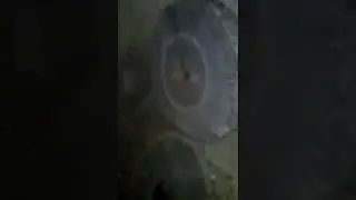 Ranthaq (Desi Chaki.