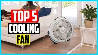 Top 5 Best Cooling Fan in 2026