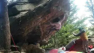 The Giving Tree, V10. The Rock Shop