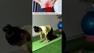 Only 1 Stretch You Need for Lower Back Pain Relief! 🔥#FitnessShorts #PainReliefStretch #shorts