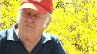 JIMMY MARTIN 36 short films about.  Here is # 5 or so.
