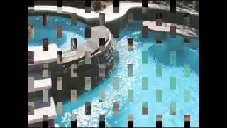 Dallas Swimming Pool Contractor.wmv