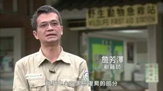 公視「感恩故事集－當責系列」野生動物急救站 (下)