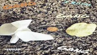GANG - J ROYAL (PROD. ESKRY)