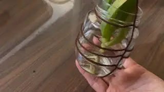 İple pratik saksı askılığı yapımı