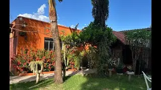 JARDIM LINDO E DIFERENTE. DECORAÇÕES, ANTIGUIDADES, PLANTAS RARAS GIGANTES.  Ateliê Florescer