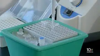 Single Cell Fixed RNA Profiling | Prepare GEM Master Mix and Sample Dilution