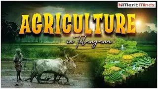 Role of🌾 Agriculture in Telangana Economy | Crops & Farmers 🌱| Merit Minds
