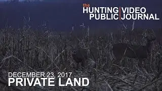 Private Land Dec. 23: Late Season Food Source, Public Land Strategy | The Hunting Public