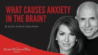 What Causes Anxiety In The Brain? - The Brain Warrior's Way Podcast