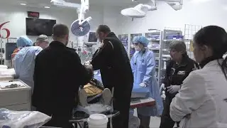 Aux États-Unis, les armes à feu 