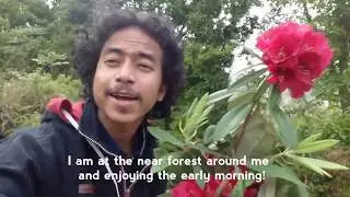 Vlog Final Part - Banepa Forest Hiking!
