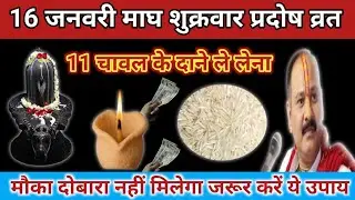 16 जनवरी माघ शुक्रवार प्रदोष व्रत के दिन 11 चावल वाला उपाय जरुर करें।Pradeep Ji Mishra Upay 