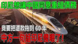 雅萬高鐵巨虧3億！印尼哭窮要把還款拖到60年，中國當場攤牌：絕不可能！ #雅萬高鐵 #中國基建 #債務危機 #一帶一路 #中印尼關系
