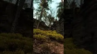 Autumn Adventure in Bohemian Switzerland | Cinematic Nature by HabitChill 🍂